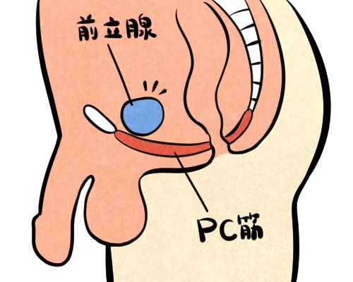 前立腺オナニー